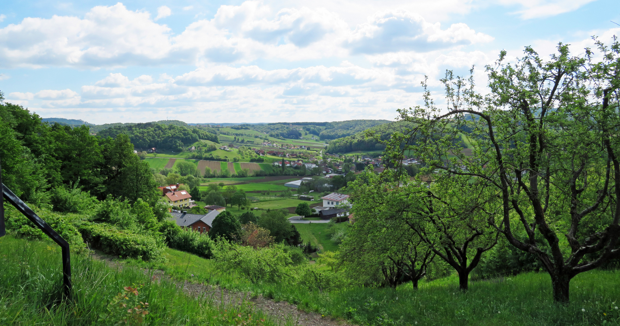 Grüner Blick...