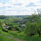 Grüner Blick...