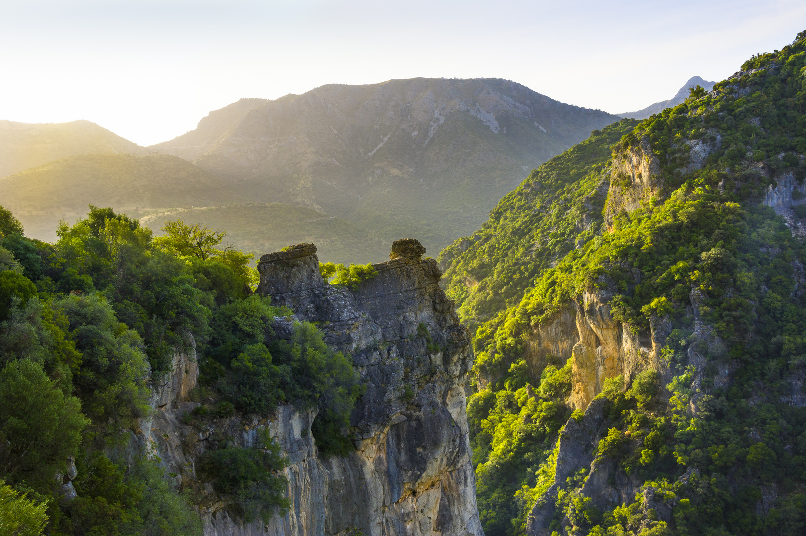 Grüner Canyon der Sierra Grazalema