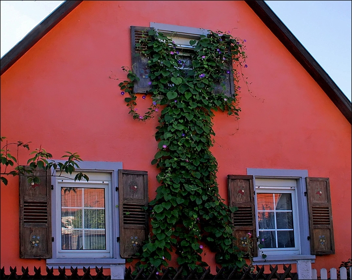 Grüner Daumen im Elsass 2