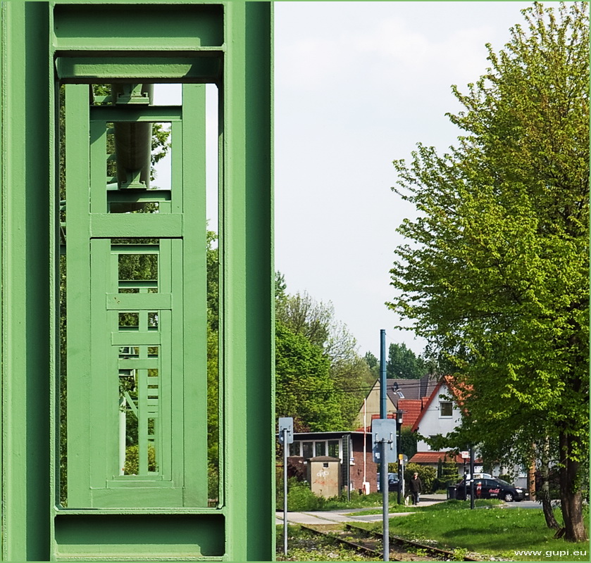 Grüner Durchblick