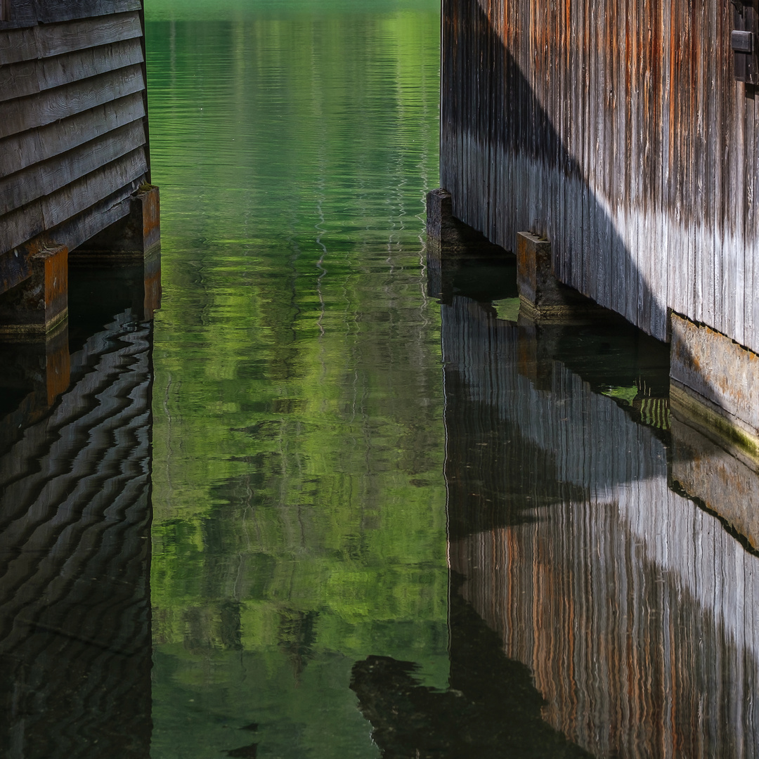 Grüner Durchblick