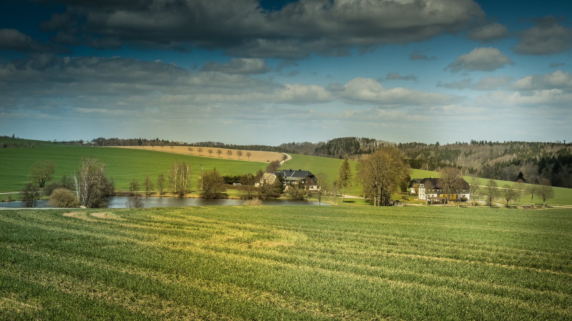 Grüner Esel