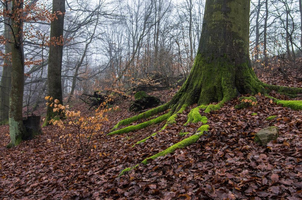 grüner Farbtupfer