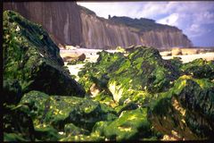 Grüner Fels - Normandie