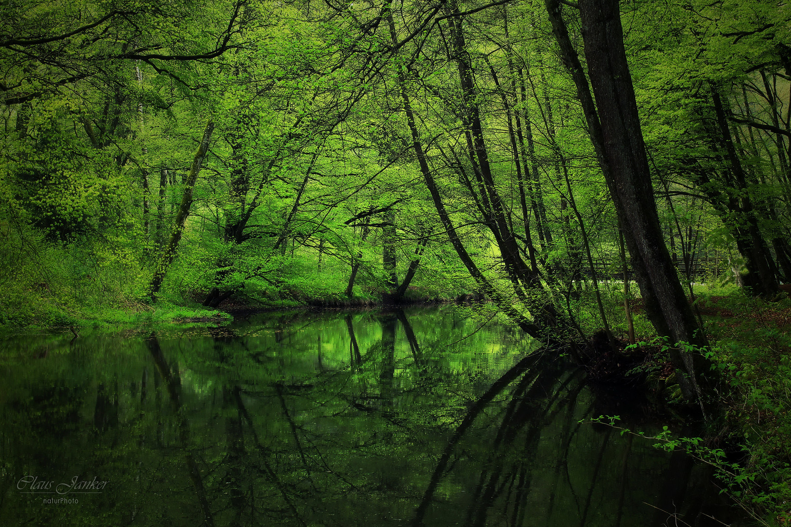 Grüner Fluß