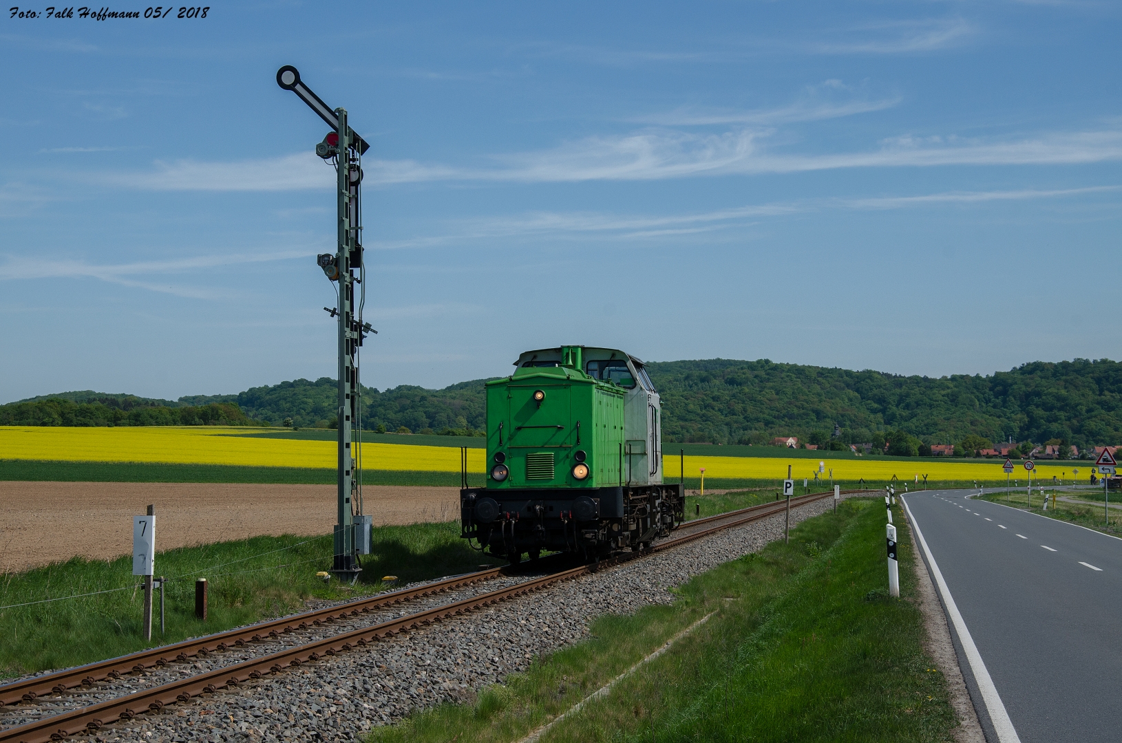 Grüner Frosch