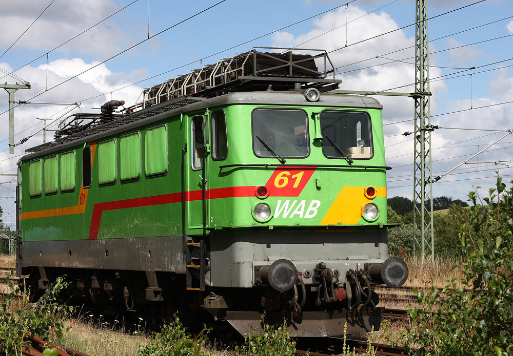 Grüner Frosch auf dem Sprung WAP 61