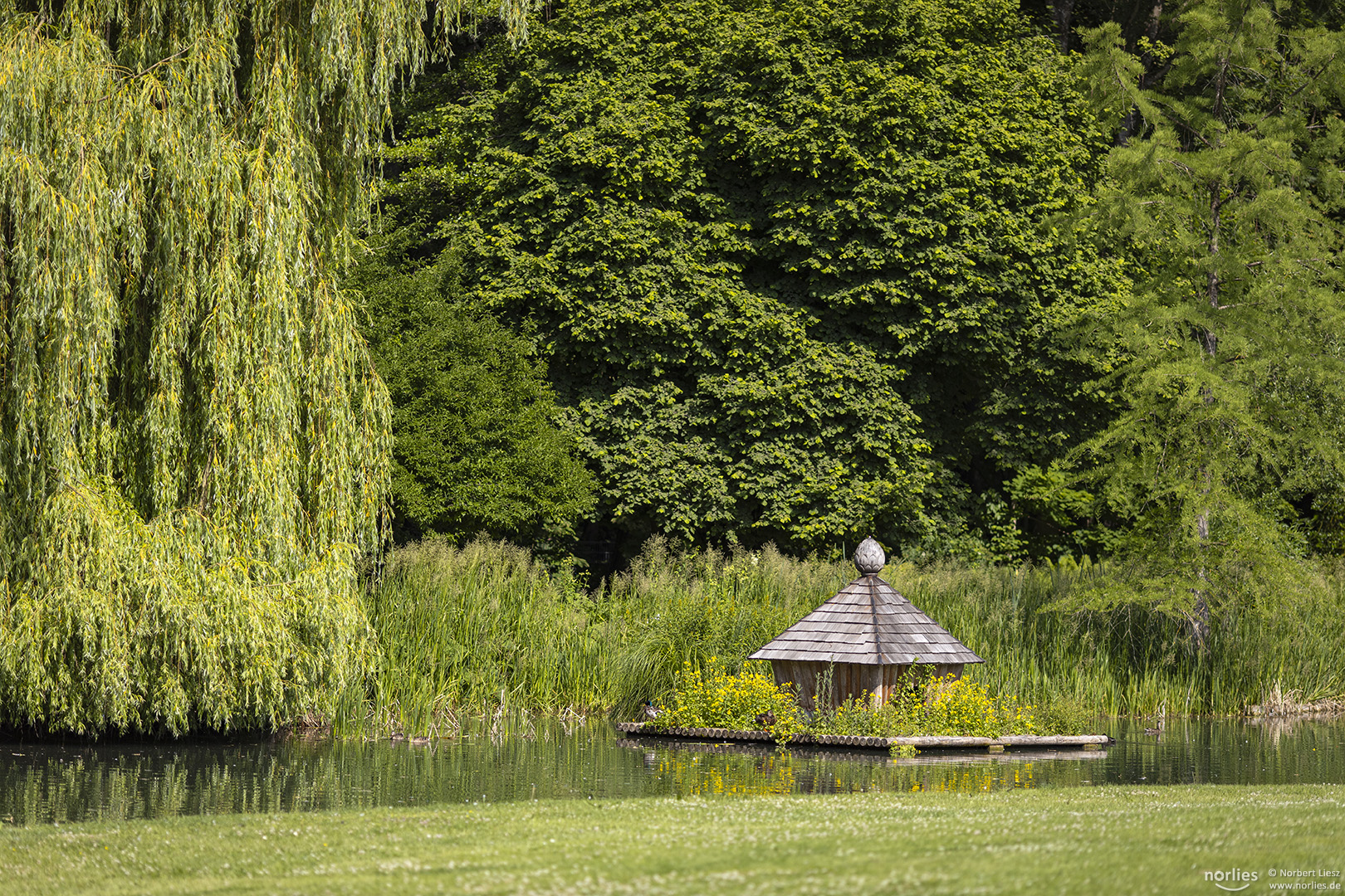 Grüner Garten