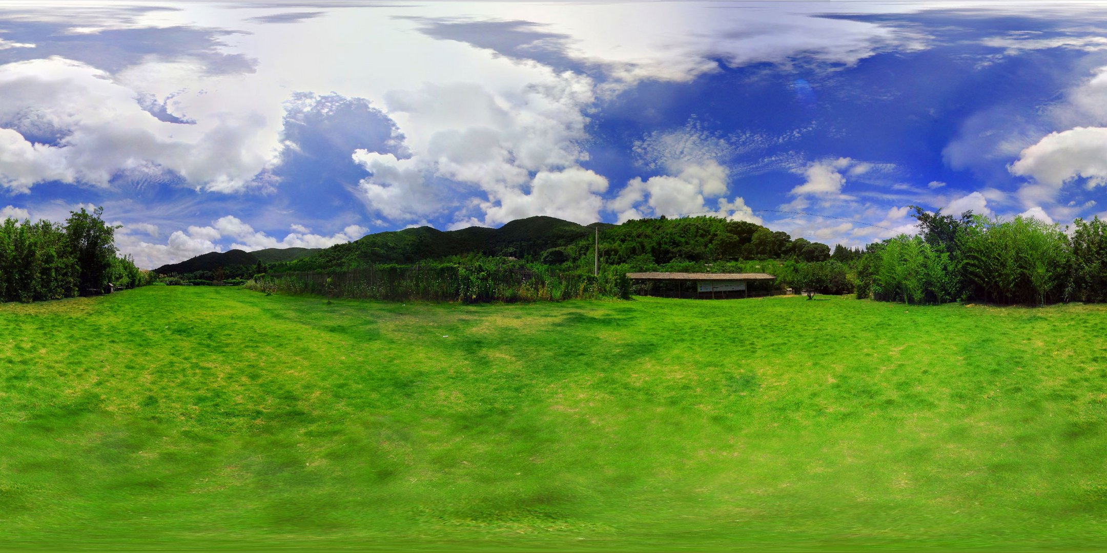 grüner Garten Foto & Bild landschaft, wald, natur Bilder auf