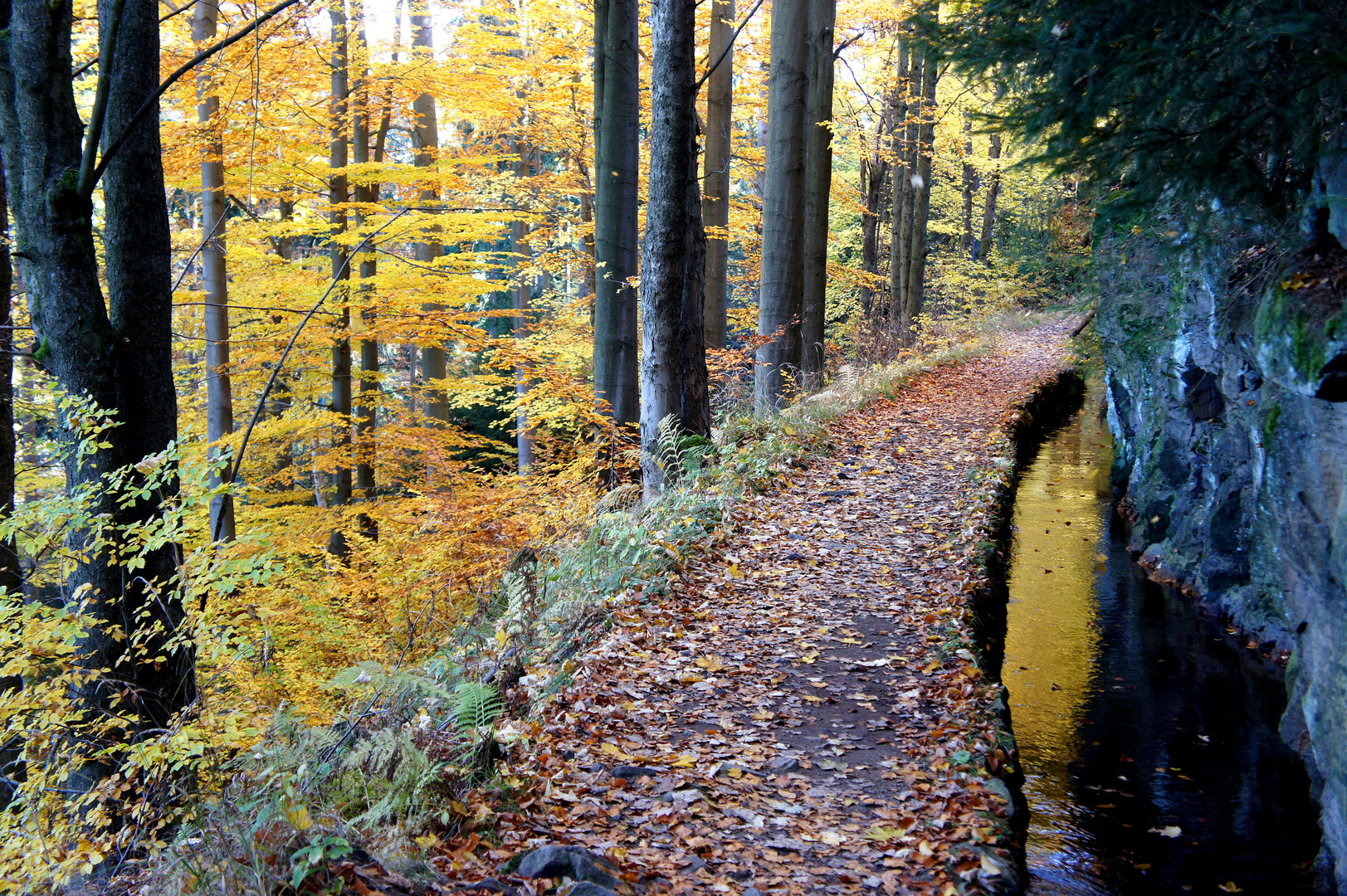 Grüner Graben