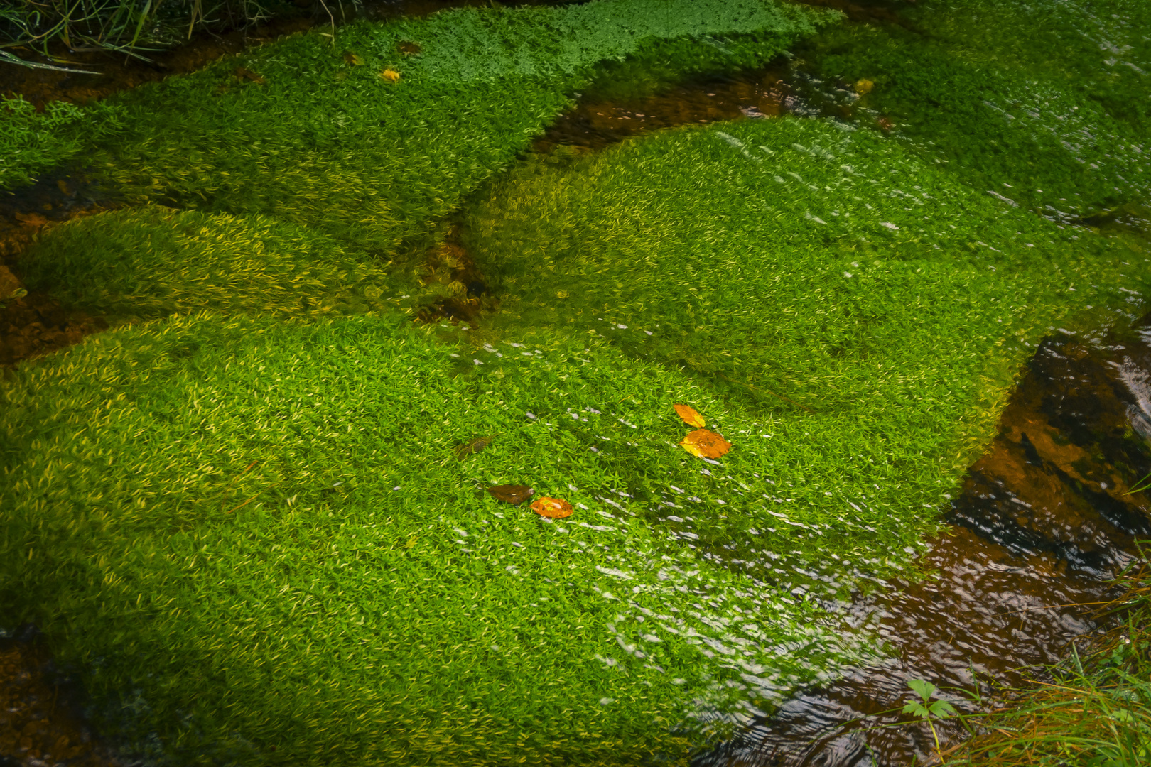 GRÜNER Graben