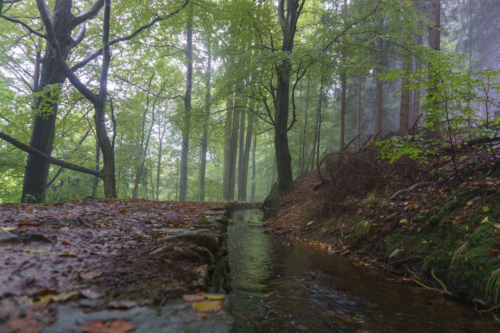 Grüner Graben_1