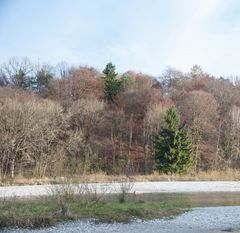 grüner Herbst