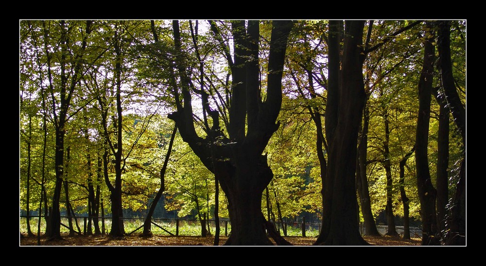 grüner Herbst