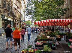 Grüner Markt (1)