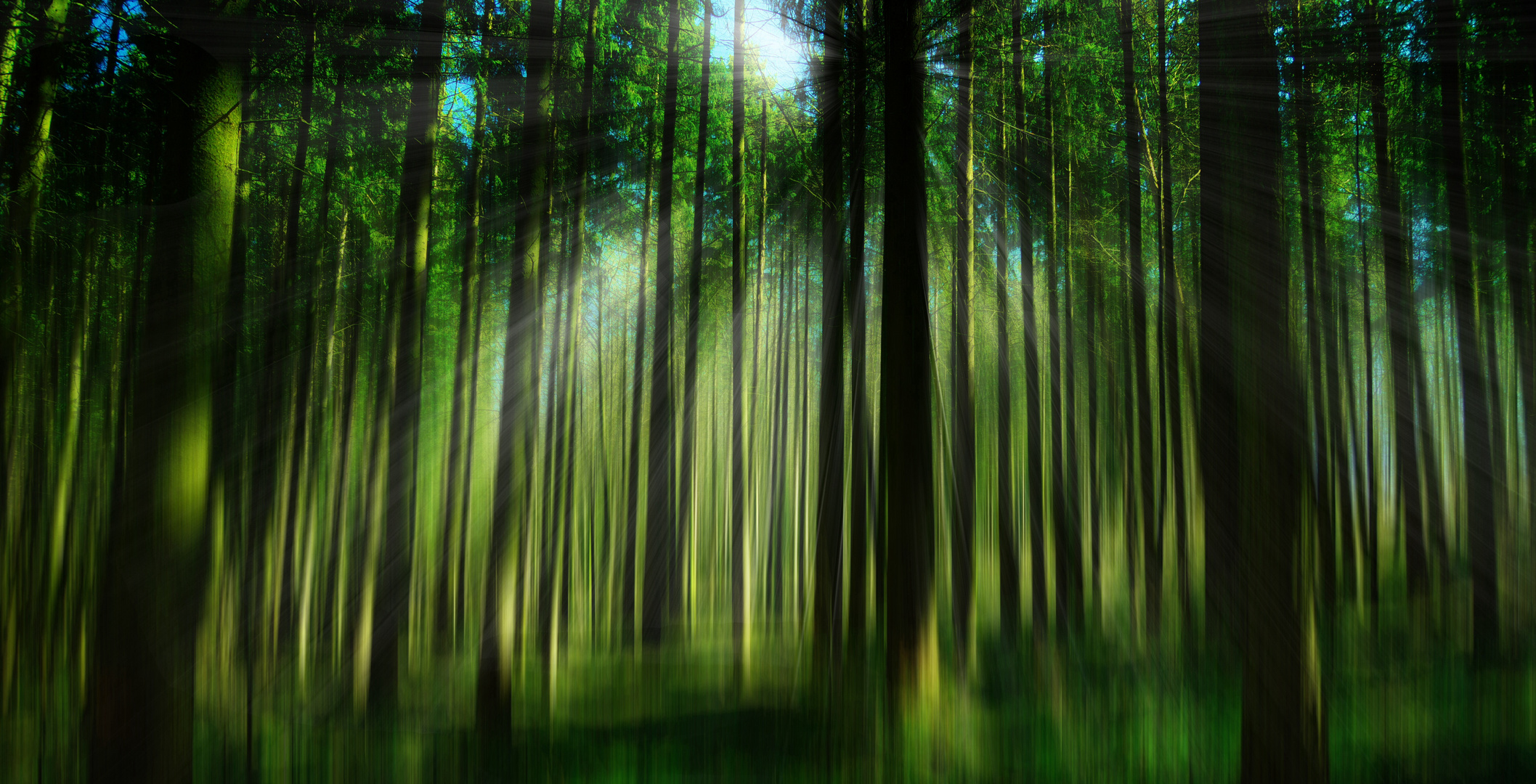 Grüner mystischer Wald