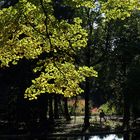 Grüner Oktober