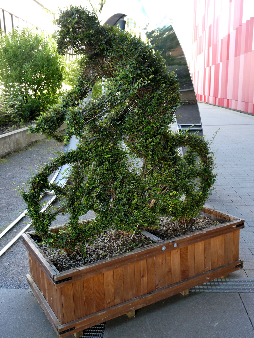 Grüner Radfahrer