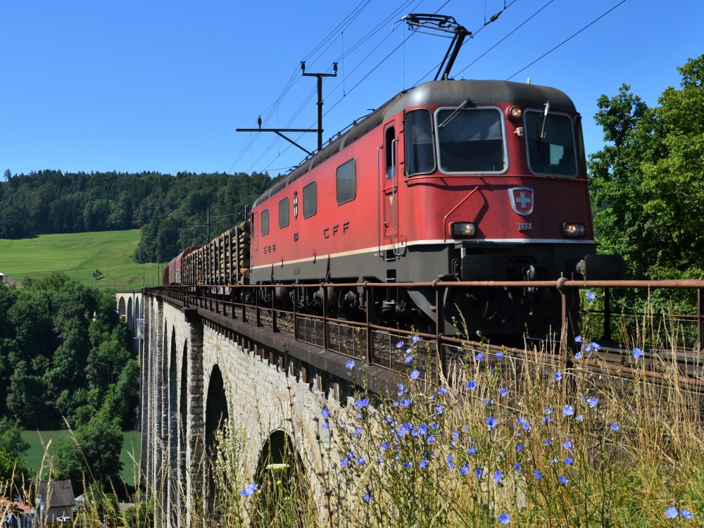 Grüner Rhein