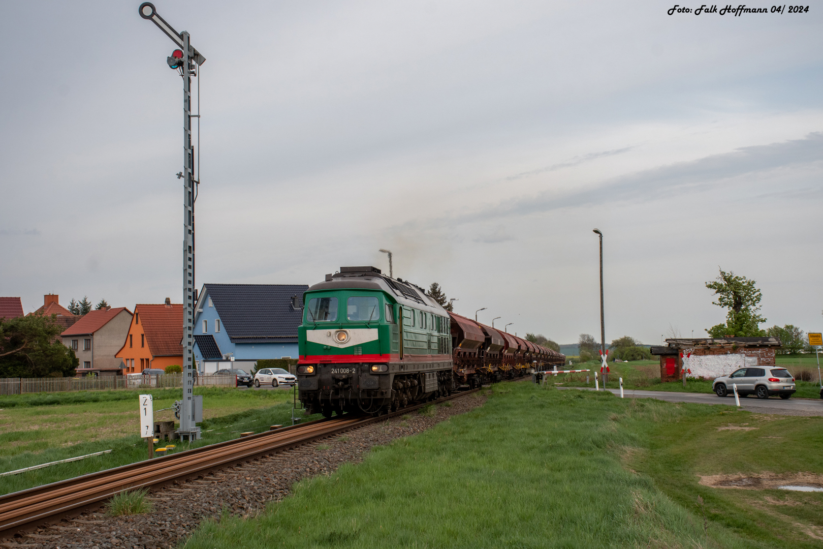 Grüner Russe im frischen Frühling