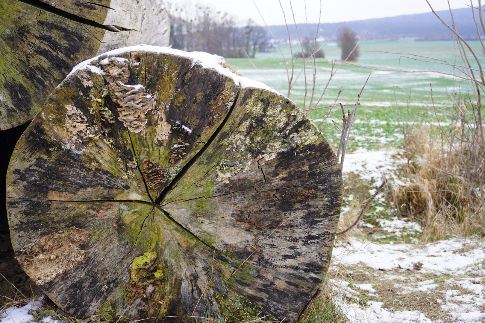 Grüner Schnee 