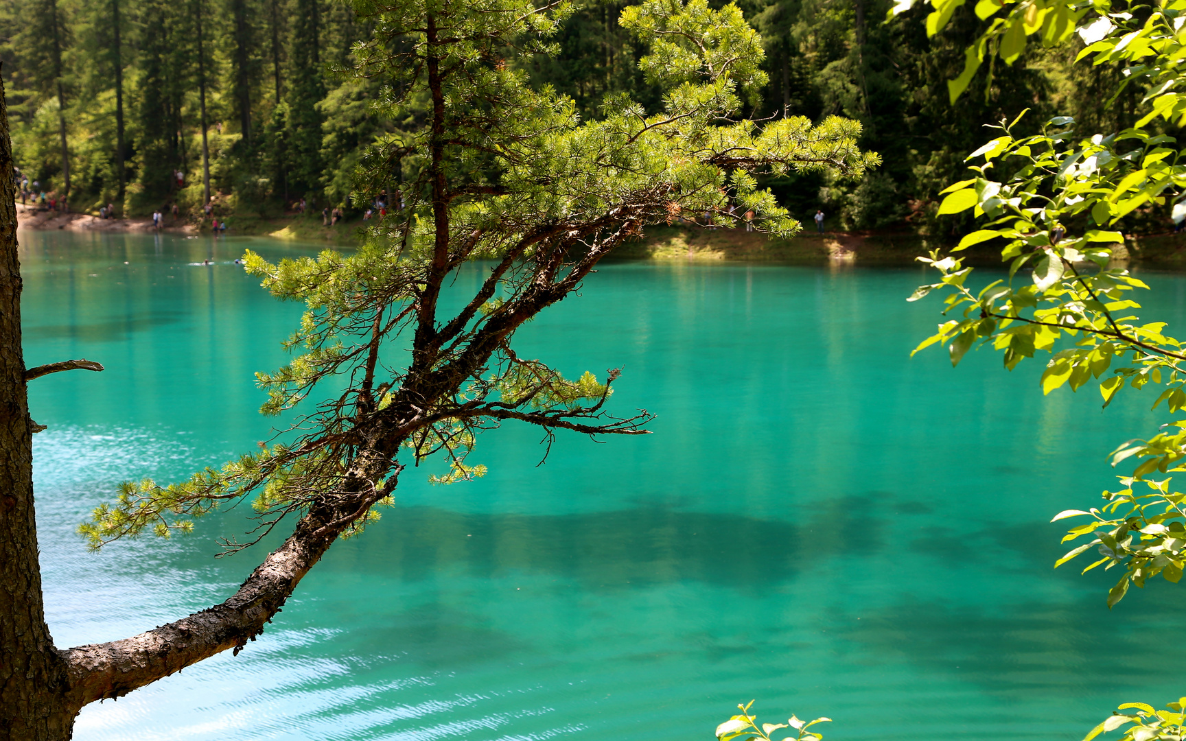 Grüner See