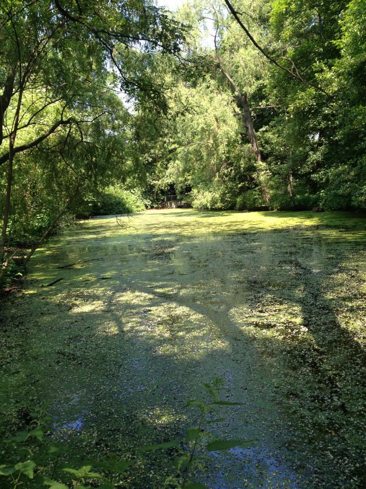 Grüner See