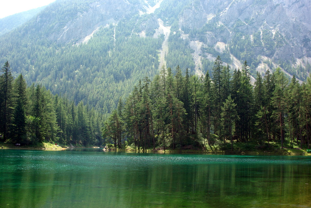 Grüner See