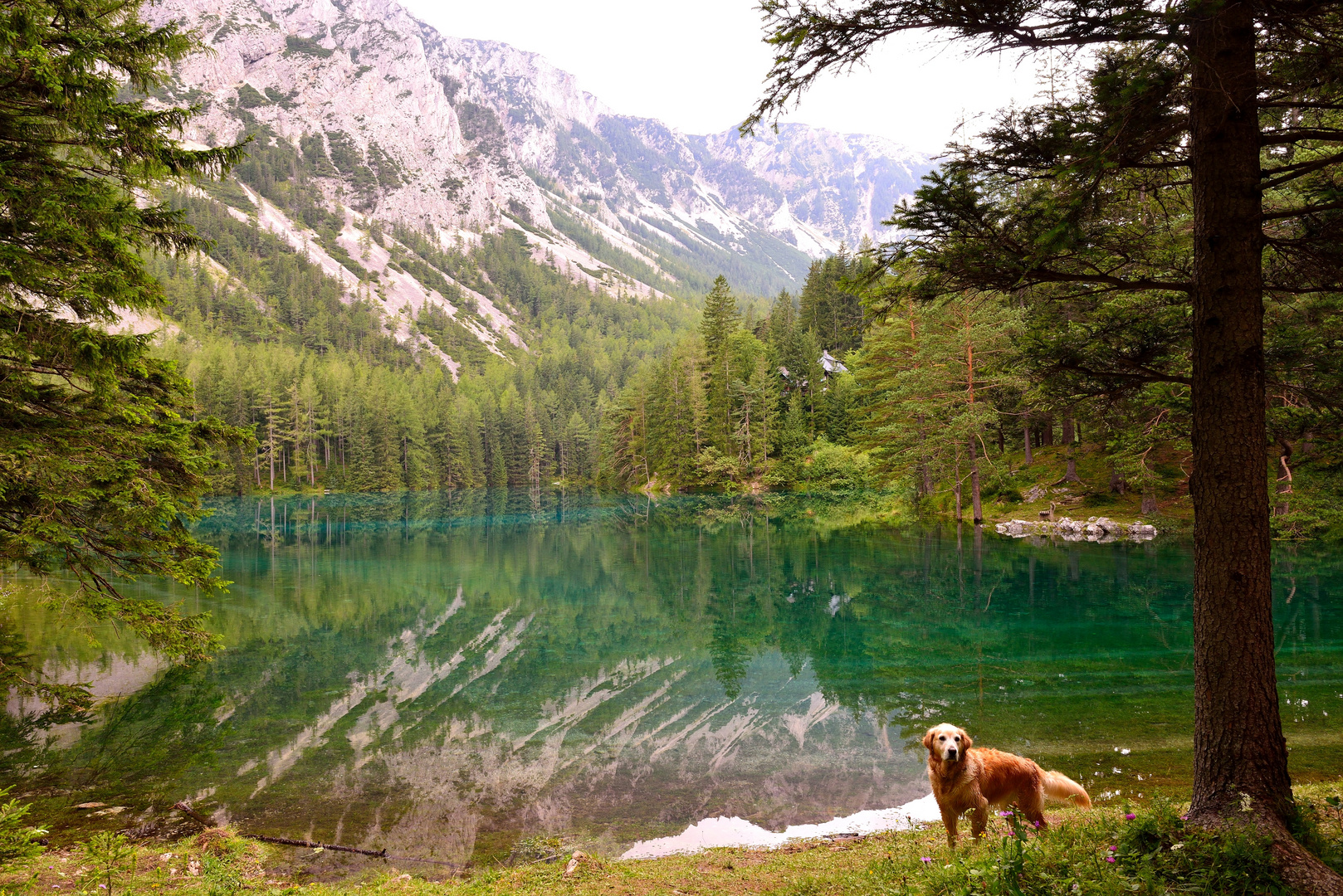 Grüner See