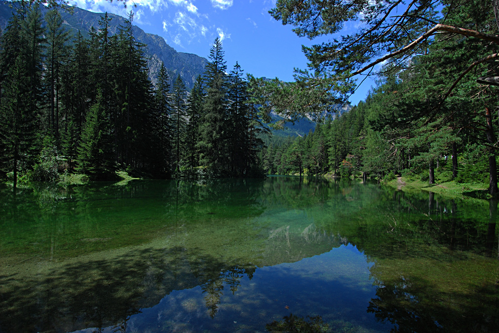 Grüner See