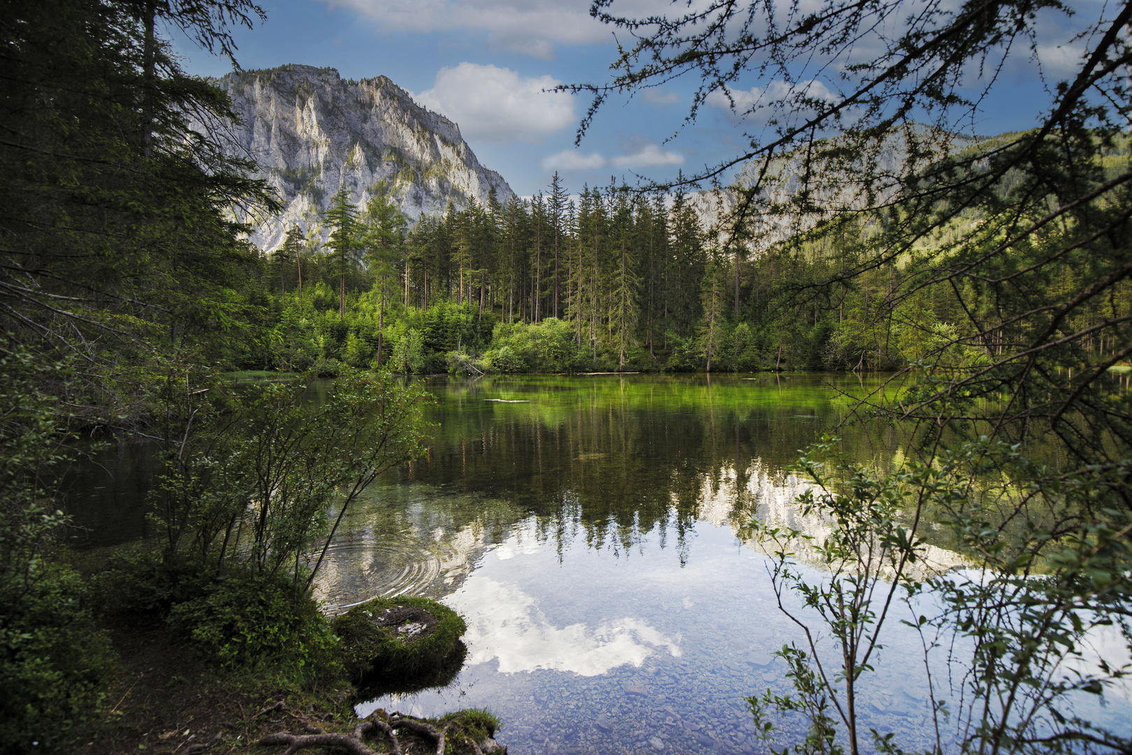 Grüner See