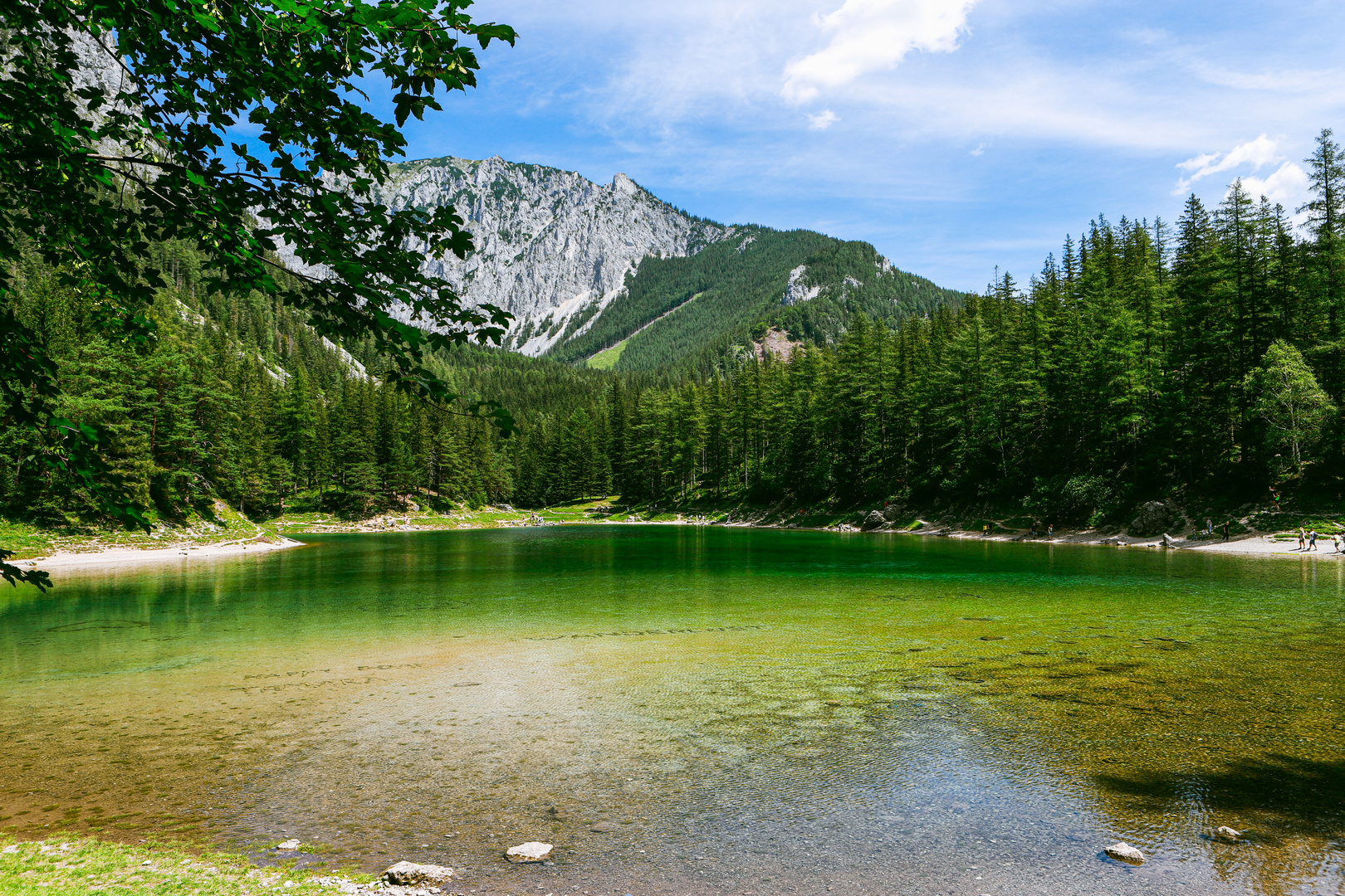 grüner See