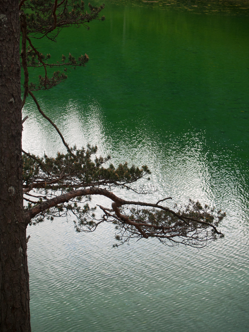 Grüner See Spiegelung