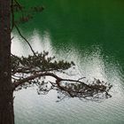 Grüner See Spiegelung