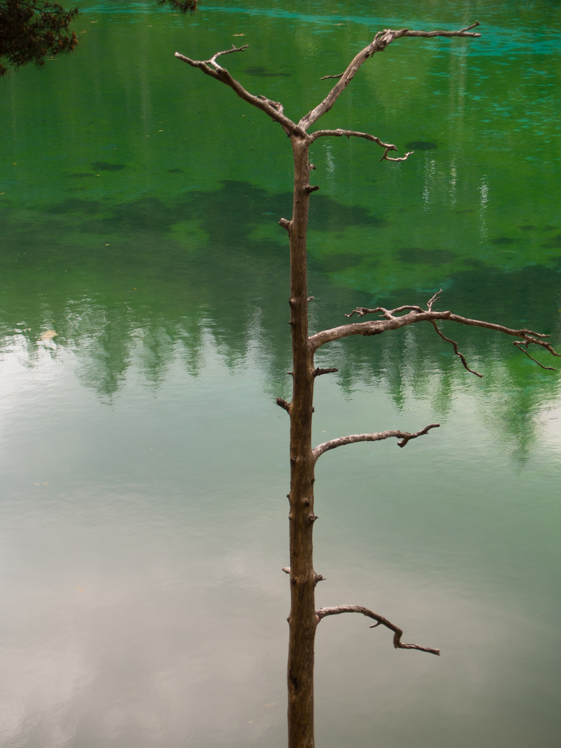 Grüner See Spiegelung