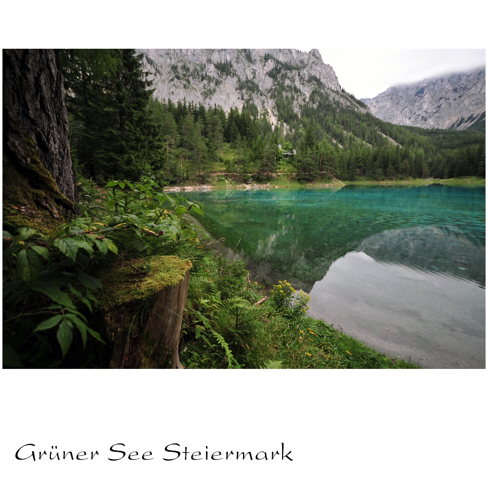 Grüner See Steiermark