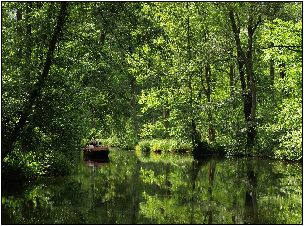 Grüner Spreewald