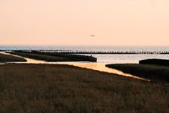 Grüner Strand am Abend