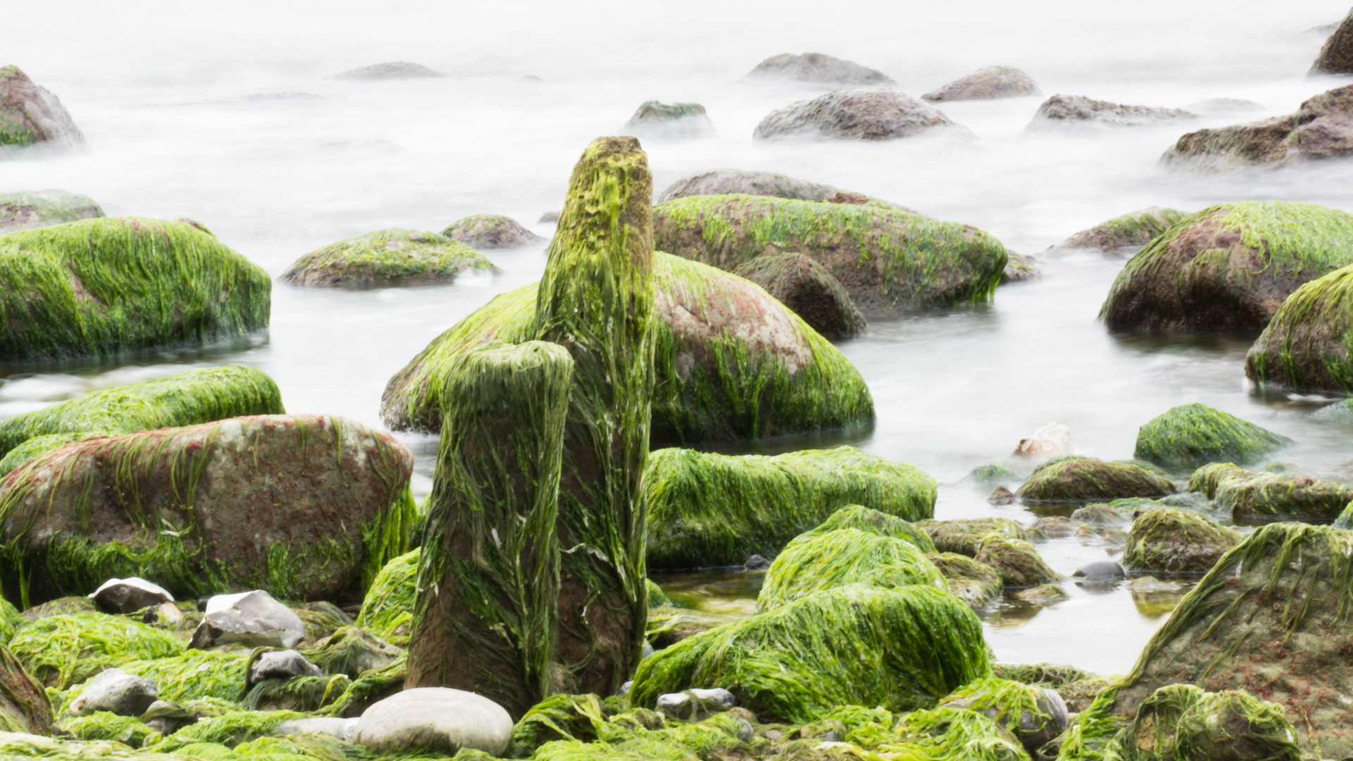 Grüner Strand