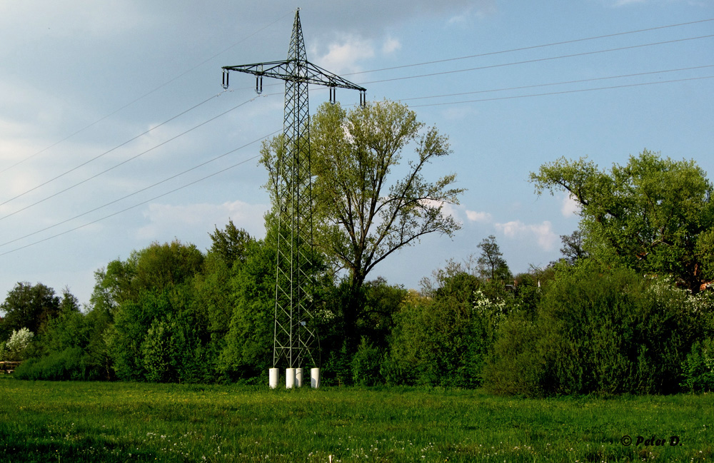 Grüner Strom