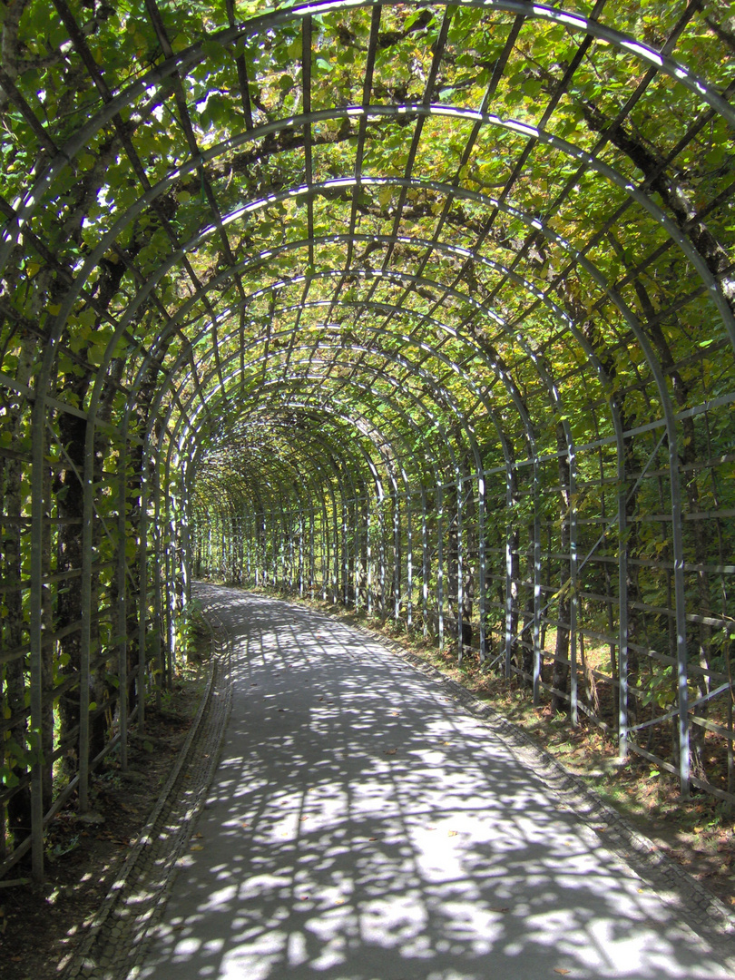 Grüner Tunnel