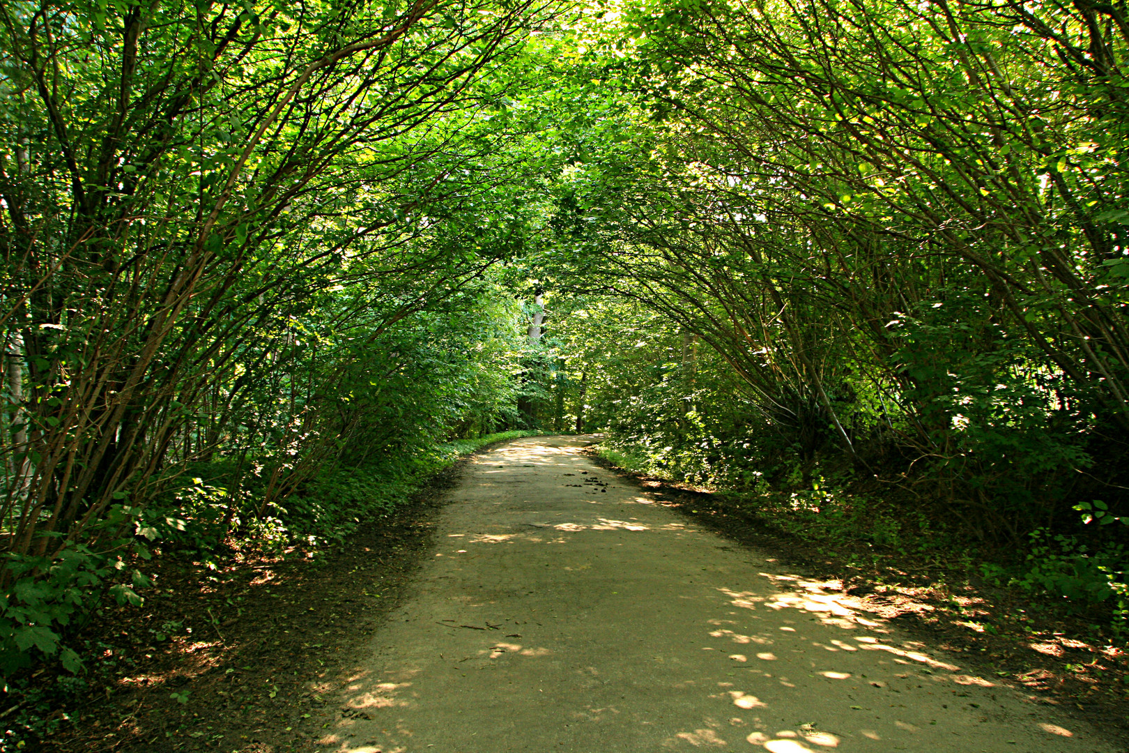 grüner Tunnel...