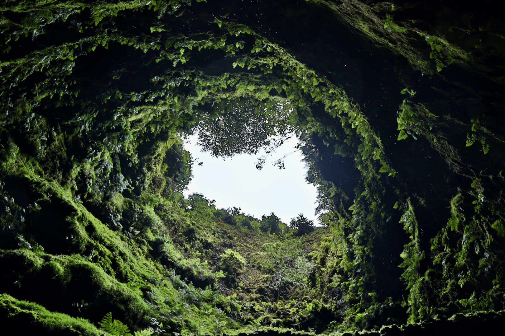 Grüner Tunnel