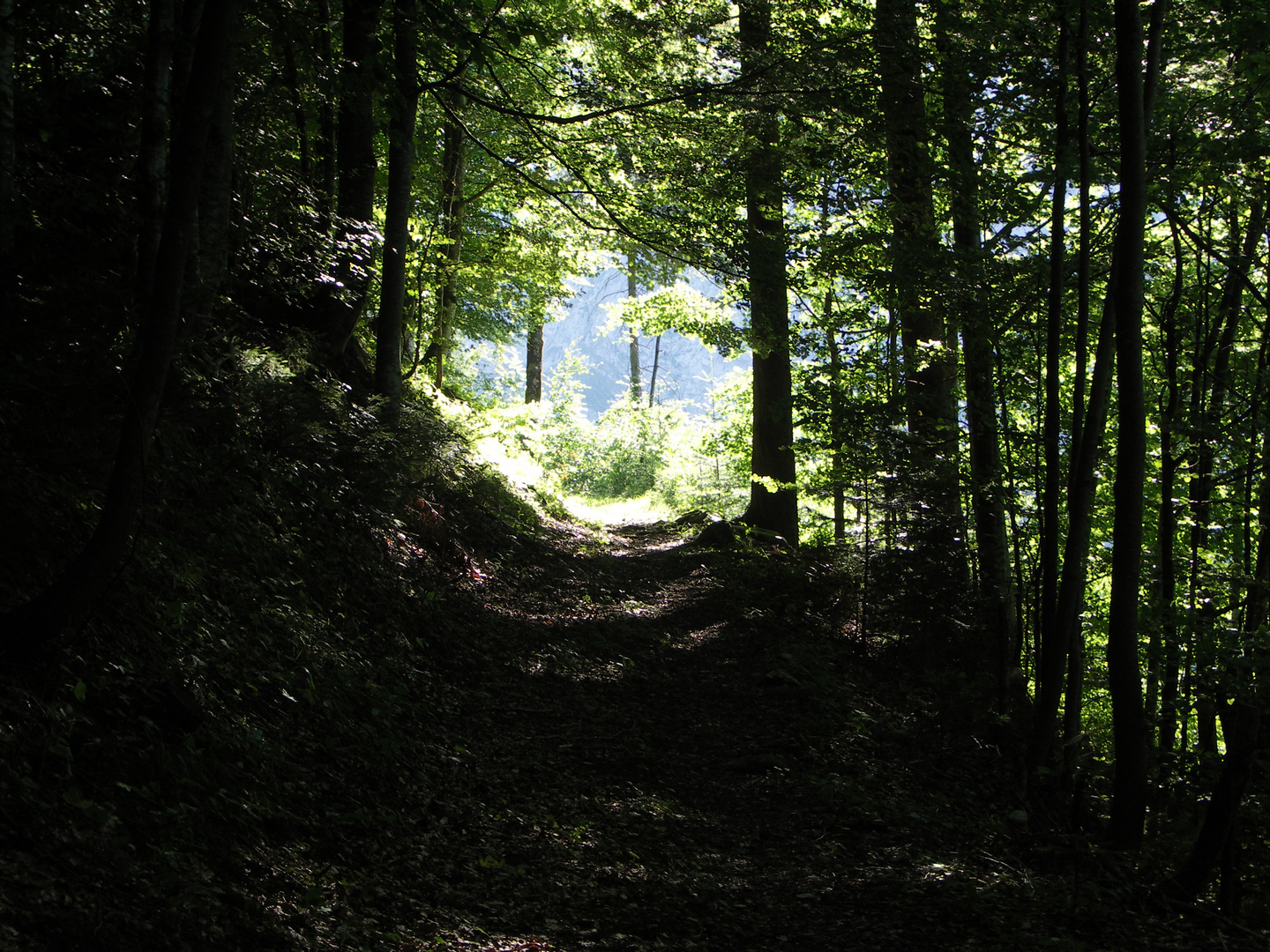 Grüner Tunnel