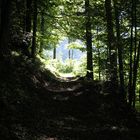 Grüner Tunnel