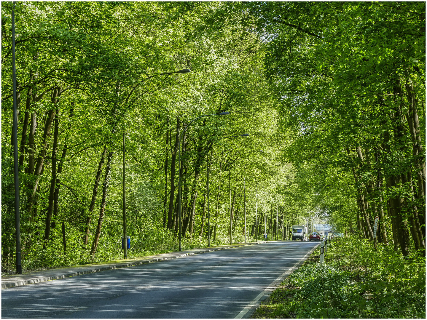 Grüner Tunnel