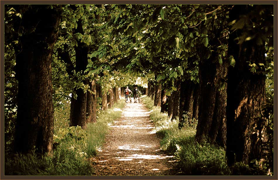 Grüner Tunnel