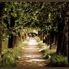 Grüner Tunnel