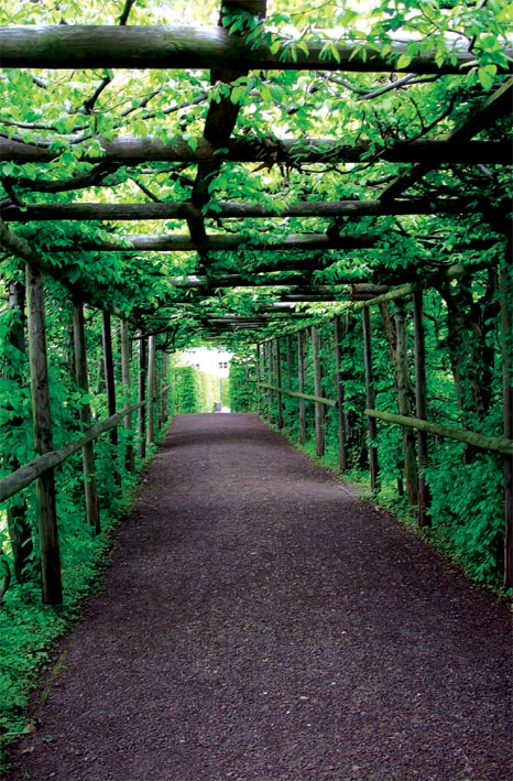 Grüner Tunnel